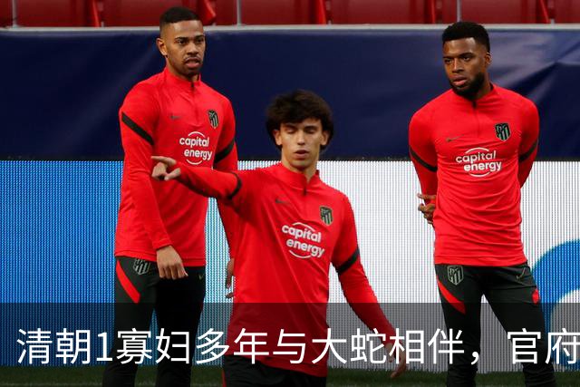 清朝1寡妇多年与大蛇相伴，官府发现真相后，立即将她打入大牢！